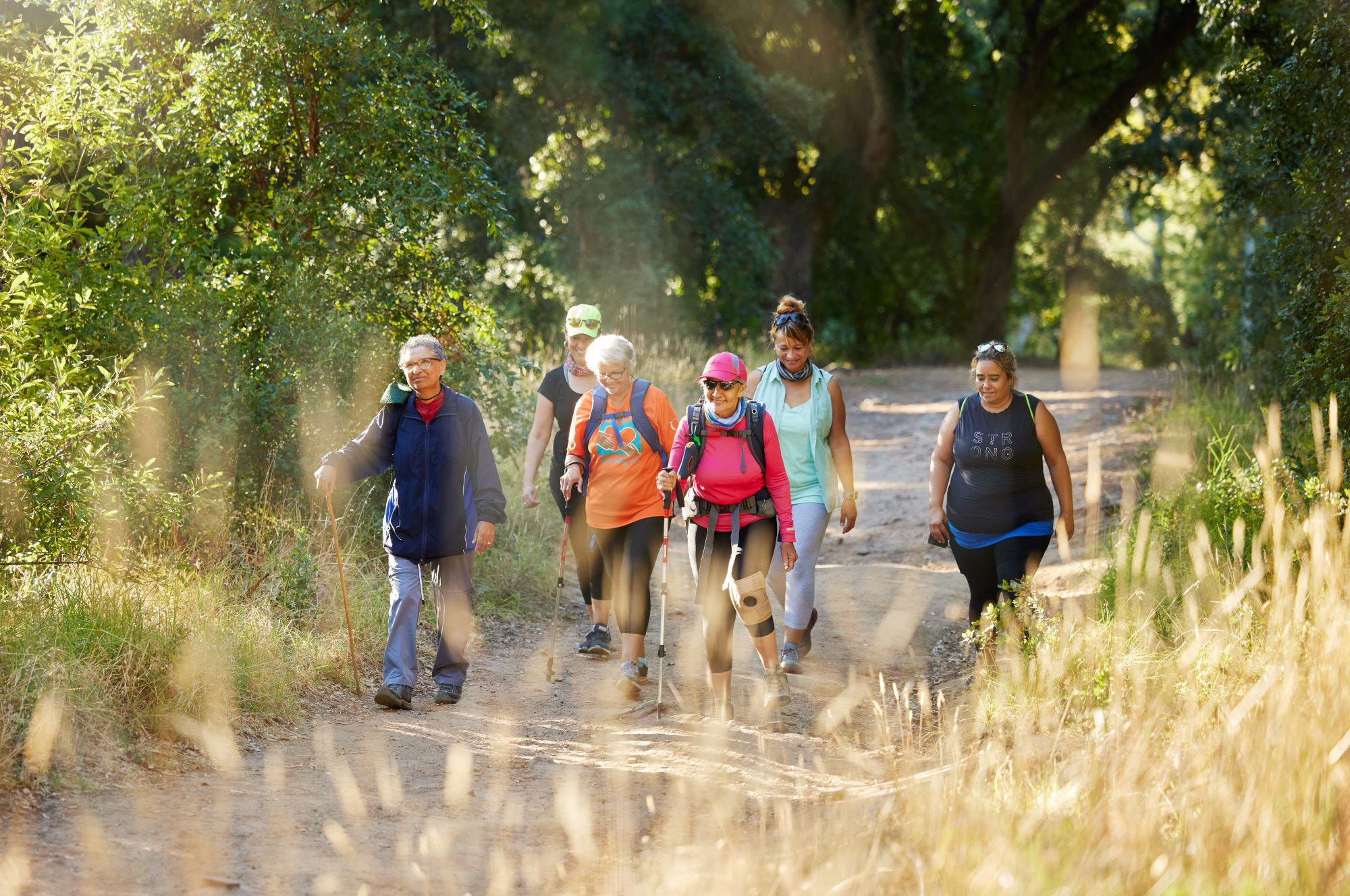 A group of friends hiking.